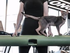 -NRG健身私教CLUB(打浦桥店)