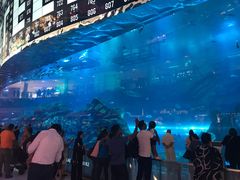 -迪拜水族馆及水下动物园