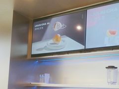 -TD66高山铁皮石斛养生茶饮