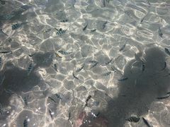 -麦哲伦丝绸度假村