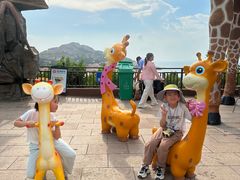 -西霞口神雕山野生动物世界