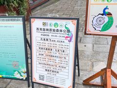 -西双版纳原始森林公园