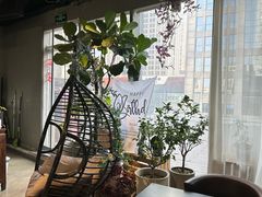 -百好乐宠物友好餐厅(朝外大街店)