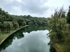 -黄河小浪底水利枢纽风景区