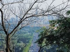 -火炉山森林公园