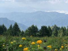 -驼梁风景区
