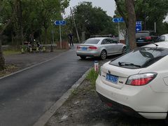 -广富林郊野公园-P6停车场