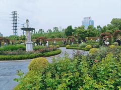 -金银湖国家城市湿地公园