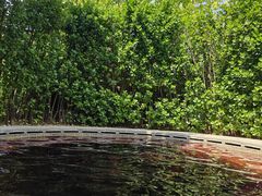 -大连金石滩绿发温泉假日酒店