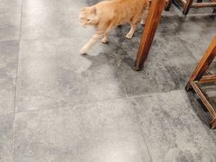 -随柳居·苏式小吃(建新巷店)