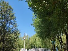 -大兴滨河森林公园