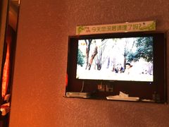-华夏良子足疗按摩艾灸spa(环山东路店)