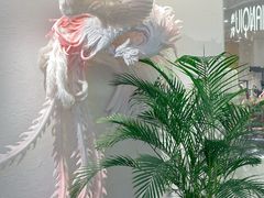 -万达广场(龙湖店)