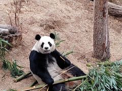 -青藏高原野生动物园