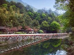 -宁波五龙潭景区