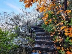 -白草畔自然风景区