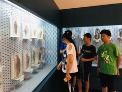 -中国湿地博物馆