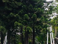 -碧水湾温泉