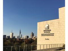 -南京圣和府邸豪华精选酒店