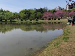 -堤角公园