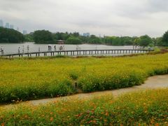 -海珠湖公园