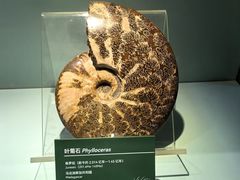 -甘肃省博物馆