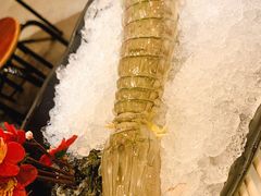 -鲜入围煮花胶鸡海鲜火锅