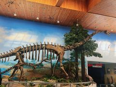 -延庆地质公园博物馆