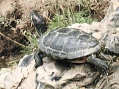 -隐食私房菜(渡口·光荣院南门·老街店)