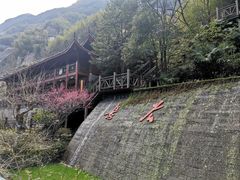 -长谷洞天