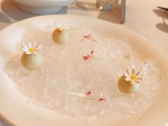 -醉辉皇原味海鲜江南菜(成都大魔方店)