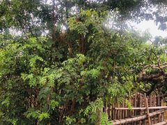 -三江森林温泉度假区