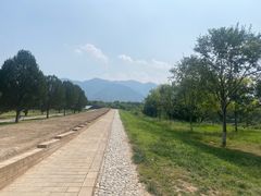 -秦始皇帝陵博物院-丽山园