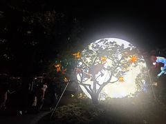 -无锡梅园公园