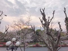 -全乐鱼馆·淳牌有机鱼直营店