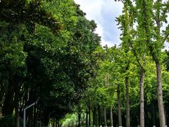 -苏州河梦清园环保主题公园