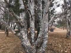 -国家植物园南园