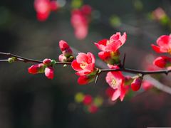 -西湖天地