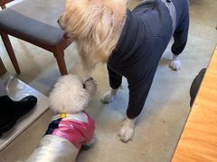 -小意思咖啡店(草桥店)