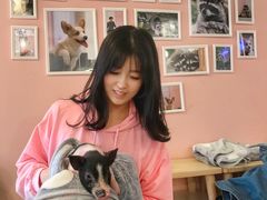 -浣熊柯尔鸭土拨鼠·电玩咖