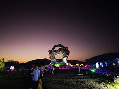 -亚龙湾国际玫瑰谷