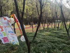 -艾溪湖湿地公园