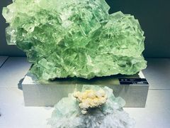 -河南自然博物馆