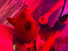 -星聚会KTV(广州敏捷广场店)
