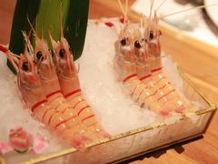 -Mr.Fish鱼鲜生海鲜放题(高德置地冬广场店)