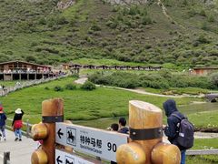 -稻城亚丁景区-冲古草甸