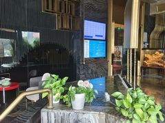 -索拉古贝(义乌北苑店)