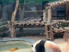 -黔灵山公园