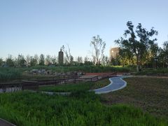 -西海子公园