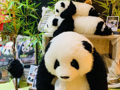 -轩客会(熊猫书店)